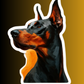 Furry Friends- Soon!